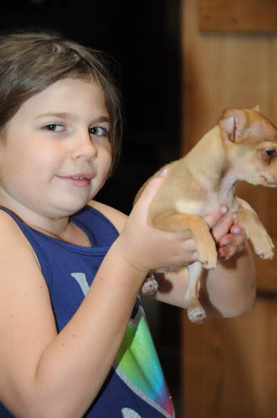 Dogs-5-21-09-02-DDeRosaPhoto.jpg