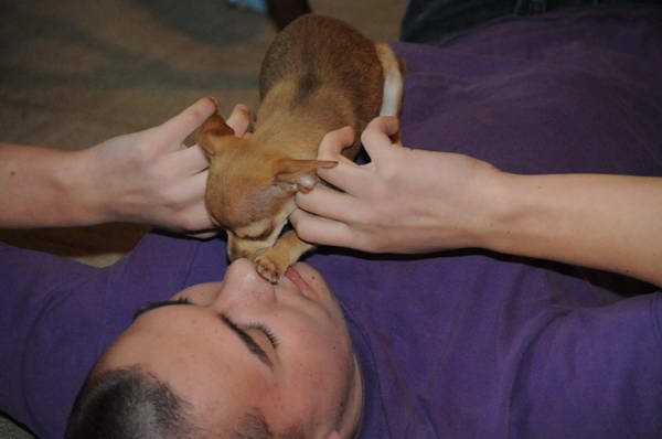 Dogs-5-21-09-16-DDeRosaPhoto.jpg