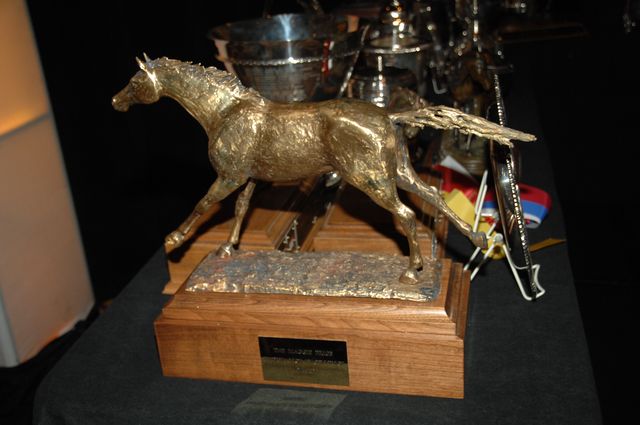 397-USEF-1-12-08-DDeRosaPhoto.jpg