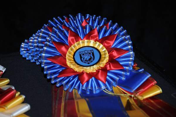 1-15-09-USEFConvention-044-DeRosaPhoto.jpg