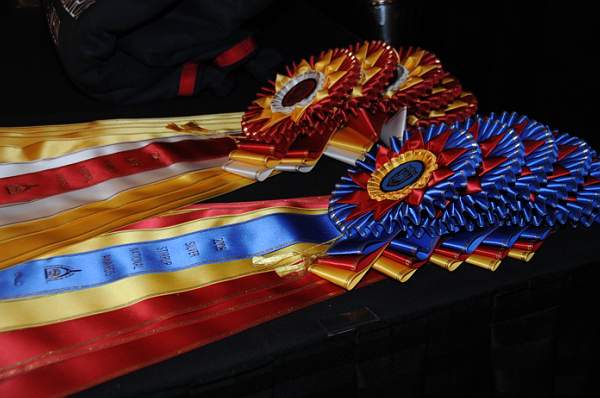1-15-09-USEFConvention-045-DeRosaPhoto.jpg