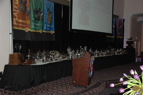 1-16-09-USEFConvention-073-DeRosaPhoto.jpg
