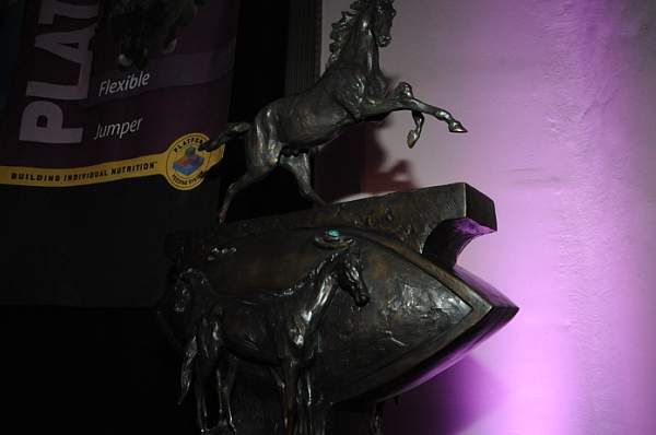 1-16-09-USEFConvention-107-DeRosaPhoto.jpg