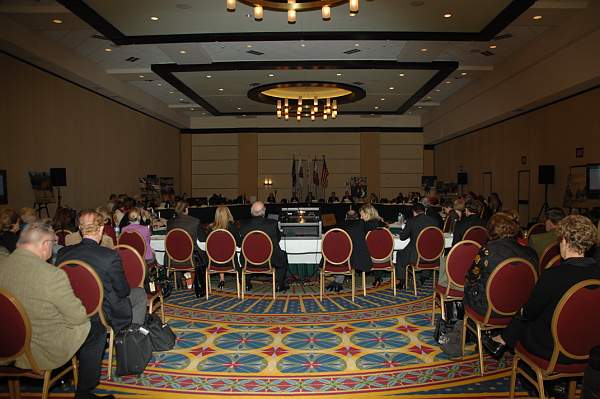 USEF-1-14-10-096-DDeRosaPhoto.jpg