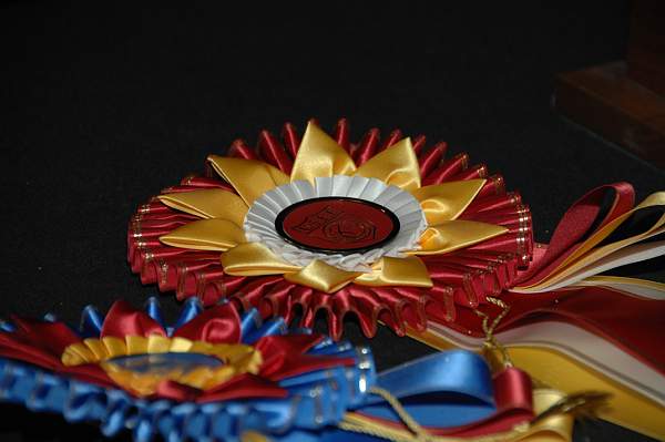 USEF-1-14-10-164-DDeRosaPhoto.jpg