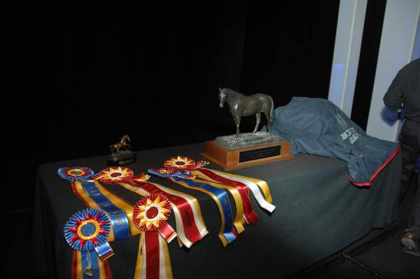 USEF-1-14-10-168-DDeRosaPhoto.jpg