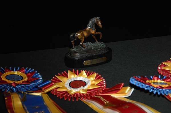 USEF-1-14-10-169-DDeRosaPhoto.jpg