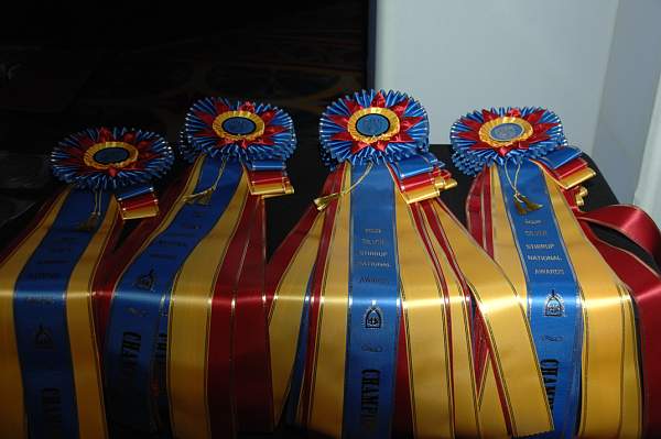 USEF-1-14-10-171-DDeRosaPhoto.jpg