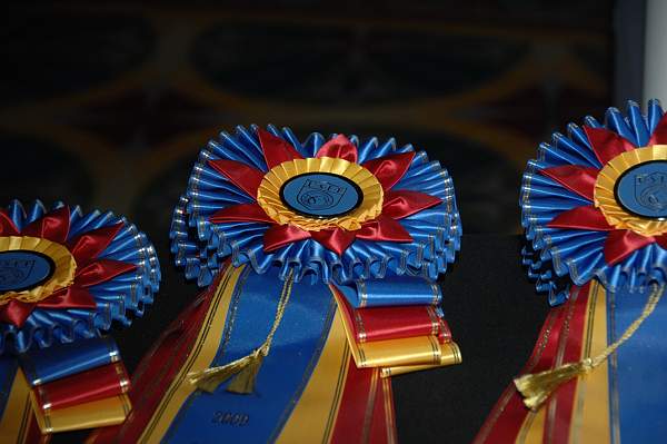 USEF-1-14-10-172-DDeRosaPhoto.jpg
