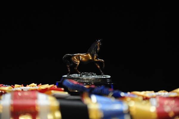 USEF-1-14-10-257-DDeRosaPhoto.jpg