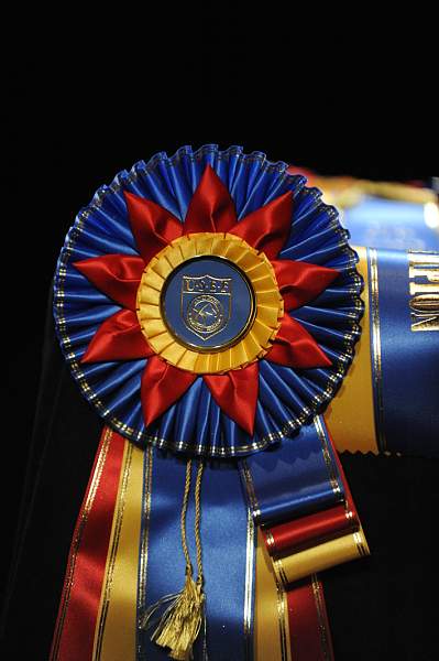 USEF-1-14-10-264-DDeRosaPhoto.jpg