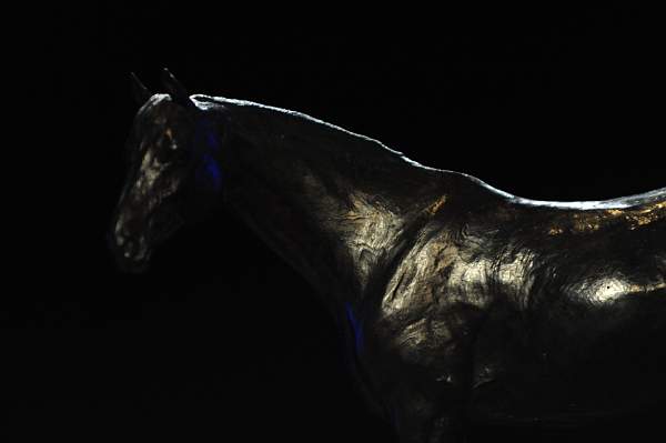 USEF-1-14-10-267-DDeRosaPhoto.jpg