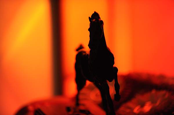 USEF-1-15-10-309-DDeRosaPhoto.jpg