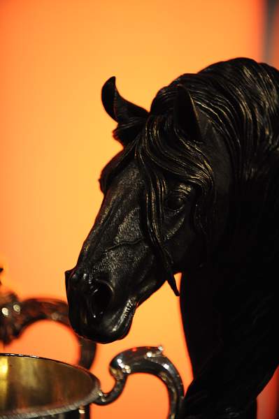 USEF-1-15-10-343-DDeRosaPhoto.jpg
