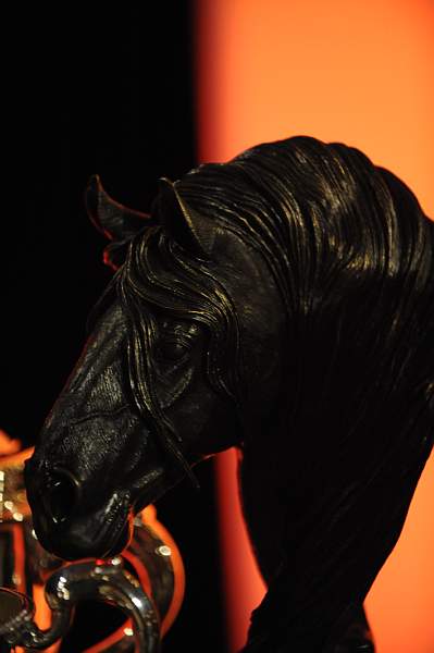USEF-1-15-10-344-DDeRosaPhoto.jpg