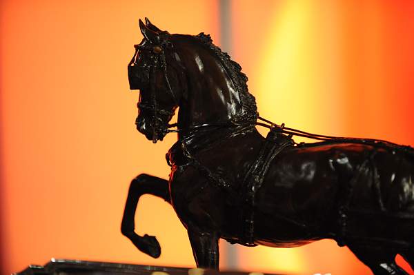 USEF-1-15-10-352-DDeRosaPhoto.jpg