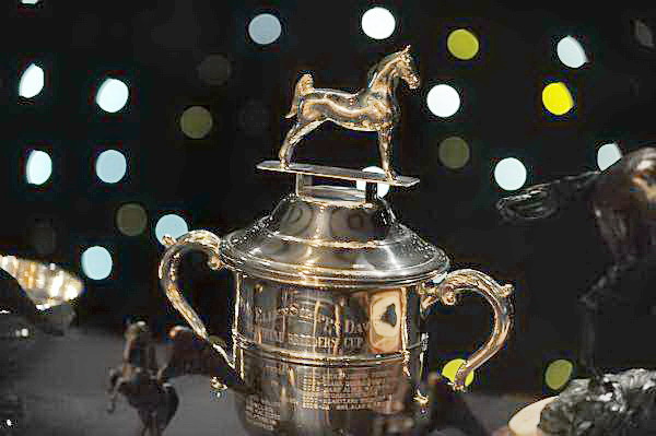 USEF-1-16-10-813-DDeRosaPhoto.jpg