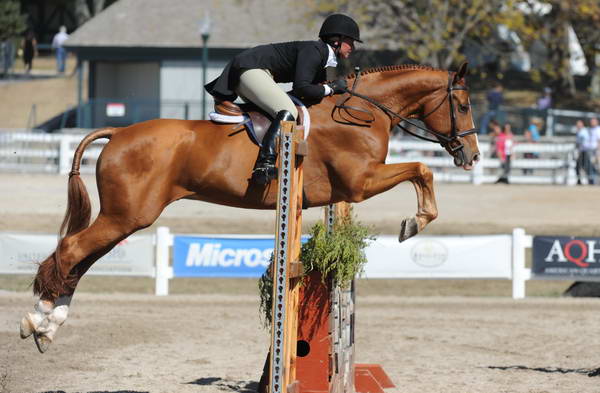 JenniferAlfano-WEG3-10-7-10-Hunters-WEG_6199-DDeRosaPhoto.jpg