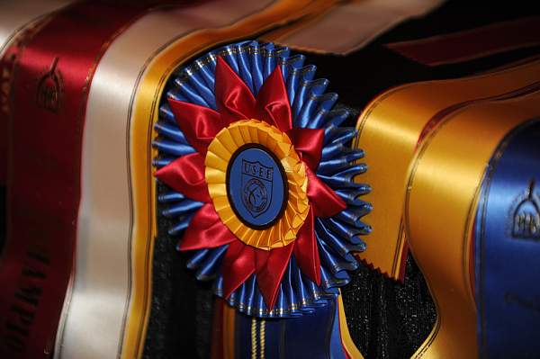 USEF-1-20-11-251-DDeRosaPhoto.jpg