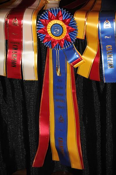 USEF-1-20-11-252-DDeRosaPhoto.jpg