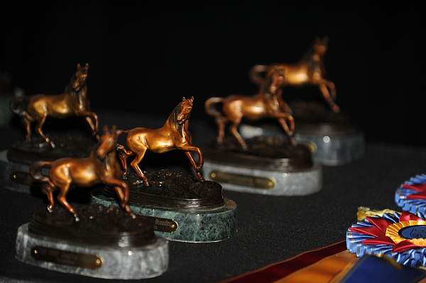 USEF-1-20-11-302-DDeRosaPhoto.jpg