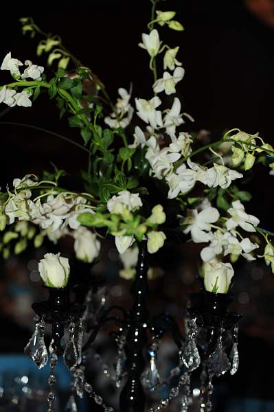 USEF-1-21-11-576-DDeRosaPhoto.jpg