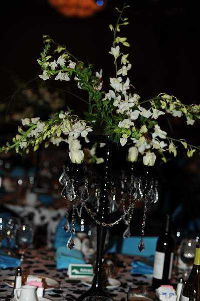 USEF-1-21-11-577-DDeRosaPhoto.jpg