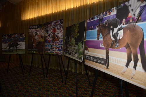 USEF-1-18-19-2013-8909-DDeRosaPhoto