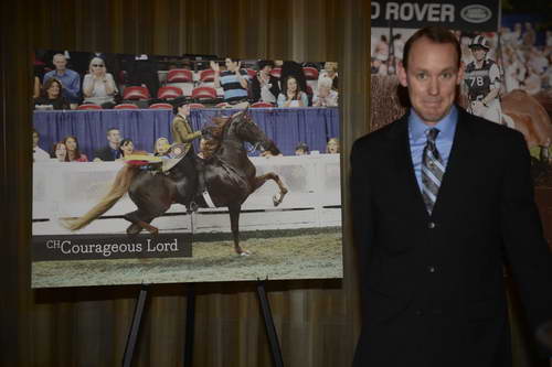 USEF-1-18-19-2013-8979-DDeRosaPhoto
