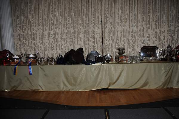 USHJA-12-8-09-289-AwardsDinner-DDeRosaPhoto_1.jpg