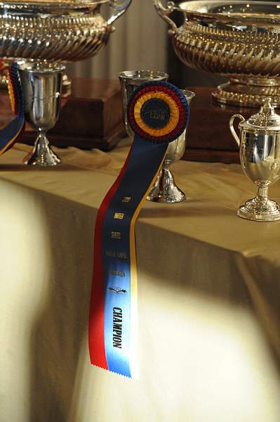 USHJA-12-8-09-321-AwardsDinner-DDeRosaPhoto_1.jpg