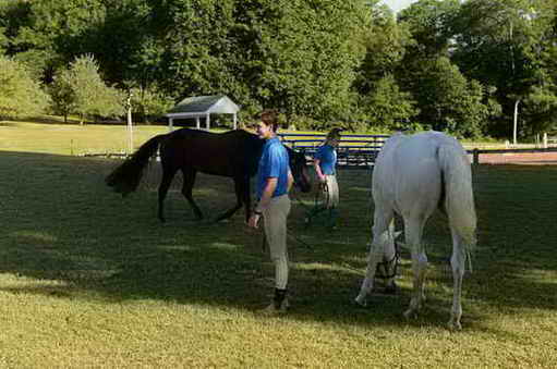 USHJA-EAP-7-12-18-0791-DDeRosaPhoto