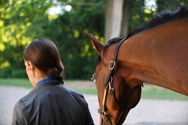 USHJA-EAP-7-12-18-5071-DDeRosaPhoto