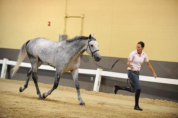 USHJA-Derby-8-19-10-Jog-DER_7022-DDeRosaPhoto.JPG