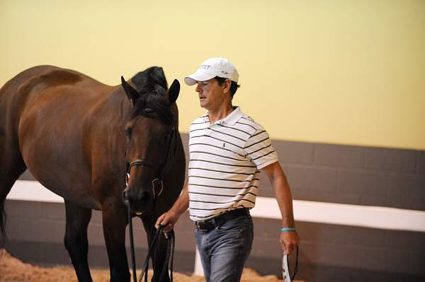 USHJA-Derby-8-19-10-Jog-DER_7078-DDeRosaPhoto.jpg