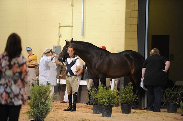 USHJA-Derby-8-19-10-Jog-DER_7103-DDeRosaPhoto.JPG