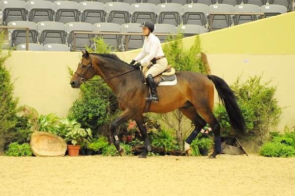 USHJA-Derby-8-19-10-Schooling-DER_6777-DDeRosaPhoto.jpg