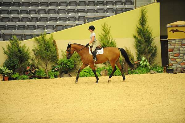 USHJA-Derby-8-19-10-Schooling-DER_6804-DDeRosaPhoto.JPG