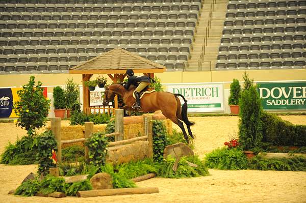 USHJA-Derby-8-20-10-DER_7625-QRnd1-Lavasco-PaigeBrodbeck-DDeRosaPhoto.jpg