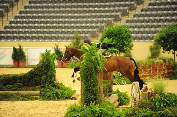 USHJA-Derby-8-20-10-DER_7643-QRnd1-Valient-TammyProvost-DDeRosaPhoto.jpg