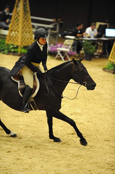 USHJA-Derby-8-20-10-DER_7672-QRnd7672-Ebony-RachelKennedy-DDeRosaPhoto.jpg