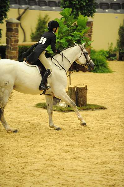 USHJA-Derby-8-20-10-DER_7734-QRnd1-CCoastZ-LillieKeenan-DDeRosaPhoto.jpg