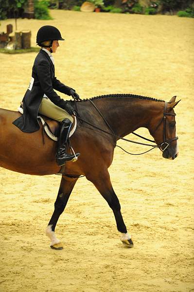 USHJA-Derby-8-20-10-DER_7869-QRnd1-Accord-KirstieDobbs-DDeRosaPhoto.jpg