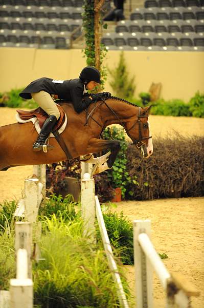 USHJA-Derby-8-20-10-DER_7993-QRnd1-Onassis-SarahWard-DDeRosaPhoto.jpg