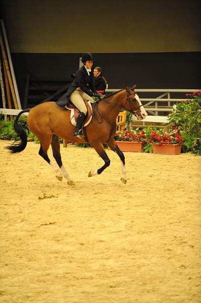 USHJA-Derby-8-20-10-DER_7999-QRnd1-Onassis-SarahWard-DDeRosaPhoto.jpg