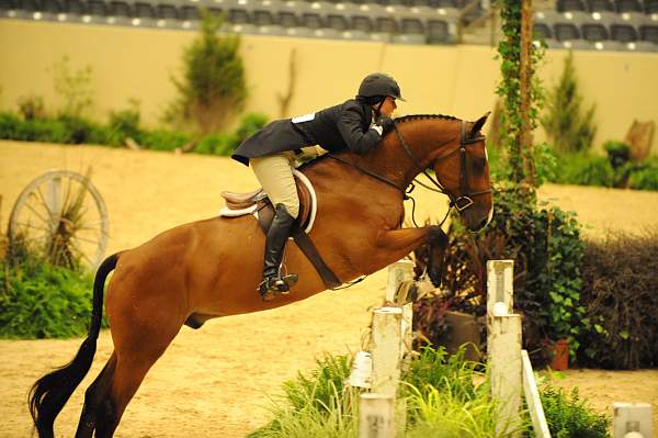 USHJA-Derby-8-20-10-DER_8230-QRnd1-CR Haribo-ColleenAcosta-DDeRosaPhoto.jpg