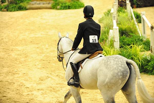 USHJA-Derby-8-20-10-DER_8294-QRnd1-C.Quito-JohnFrench-DDeRosaPhoto.jpg