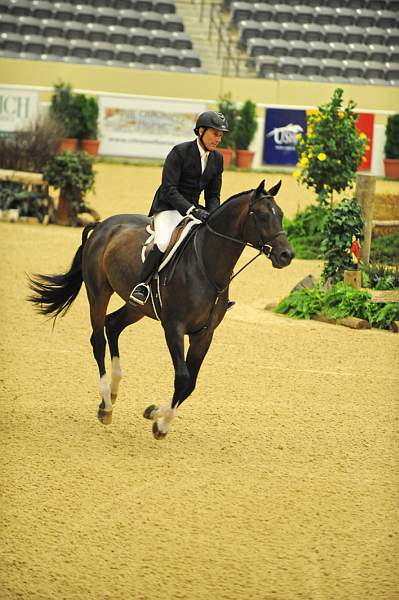 USHJA-Derby-8-20-10-DER_8414-QRnd1-Declaration-ScottStewart-DDeRosaPhoto.jpg