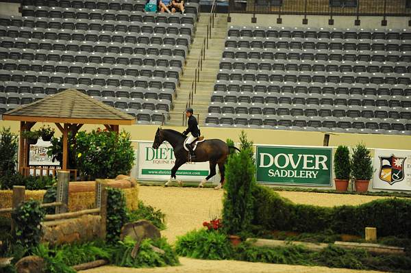 USHJA-Derby-8-20-10-DER_8421-QRnd1-Declaration-ScottStewart-DDeRosaPhoto.jpg