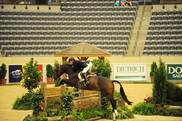 USHJA-Derby-8-20-10-DER_8427-QRnd1-Declaration-ScottStewart-DDeRosaPhoto.jpg